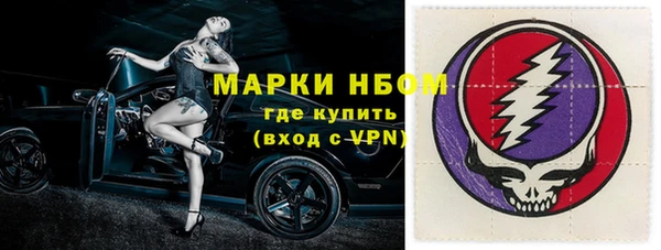 индика Богородск