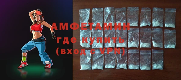 шишки Богородицк