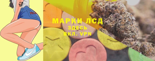 шишки Богородицк