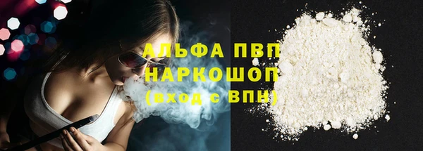 шишки Богородицк