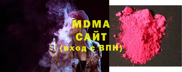 индика Богородск