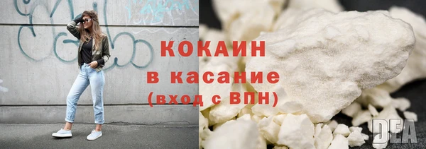 шишки Богородицк