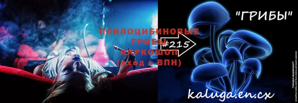 шишки Богородицк