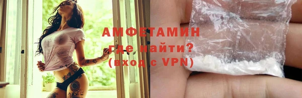индика Богородск