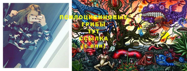 индика Богородск