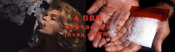 шишки Богородицк