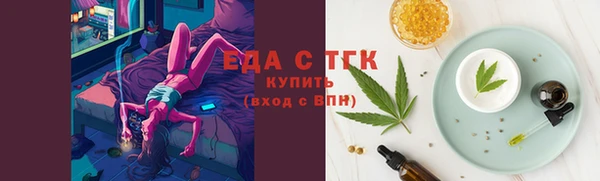 индика Богородск