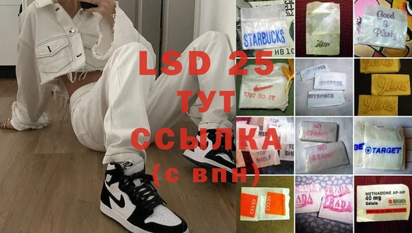 шишки Богородицк