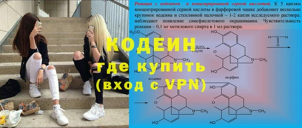 индика Богородск