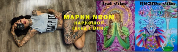 шишки Богородицк