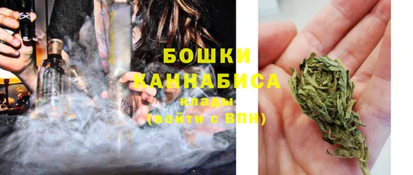 индика Богородск