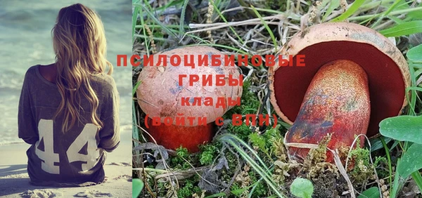 индика Богородск